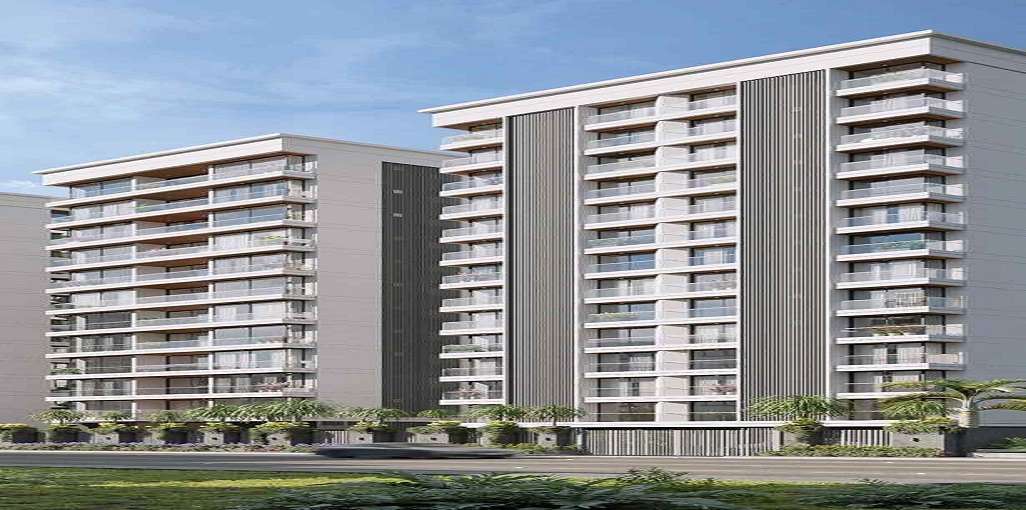 Shreeji Om Solitaire