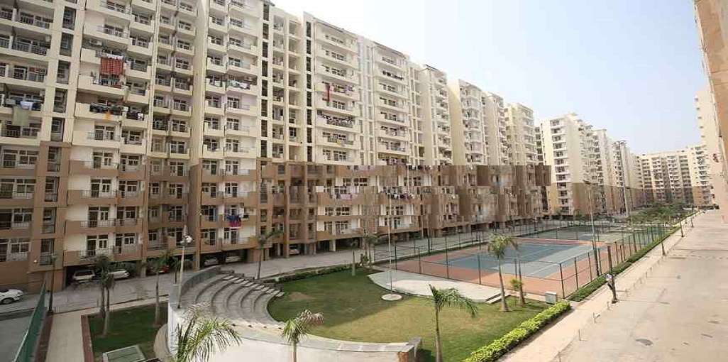 Super Realtech Oxy Homez