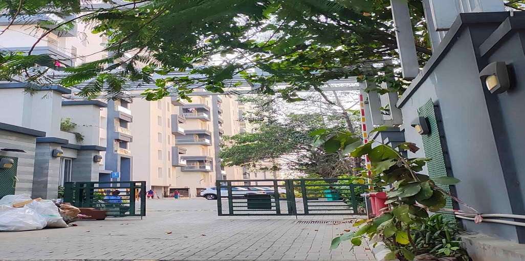 Appaswamy Greensville