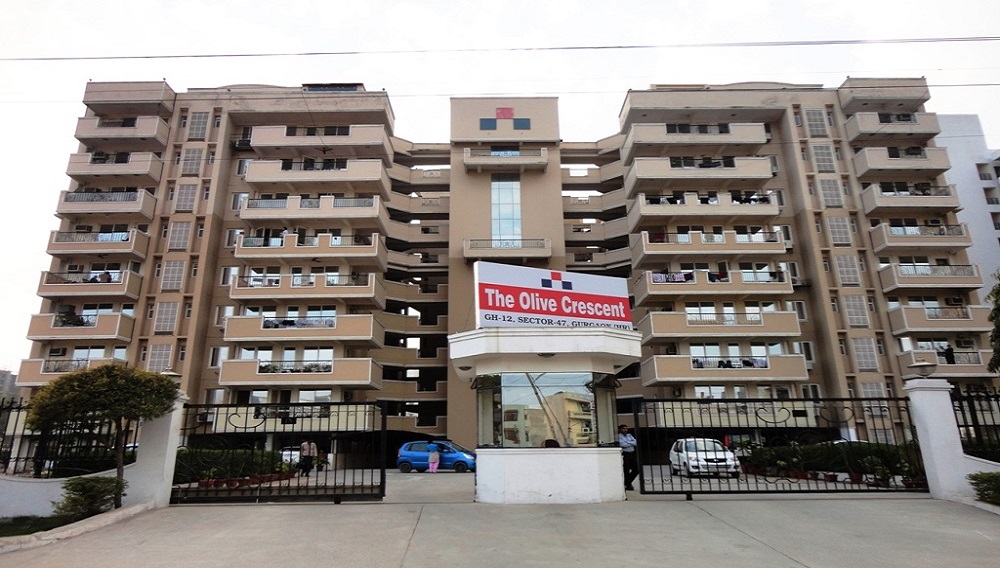 Forte The Olive Crescent