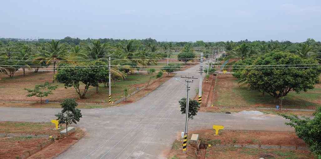 Bhima Pama