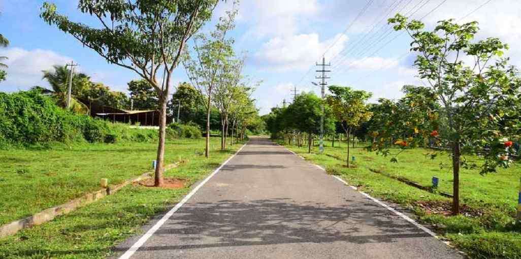 Bhima Krithika Lake View