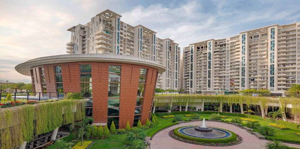JLPL Falcon View