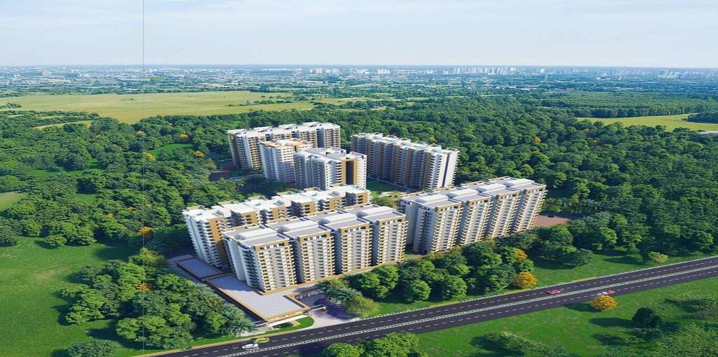 Soha Olive Homes