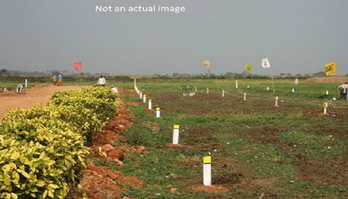 Eiffel Warai Woods Floor Plan