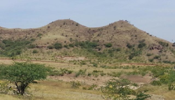 Temple Rose Mountain Range Phase 1 Floor Plan