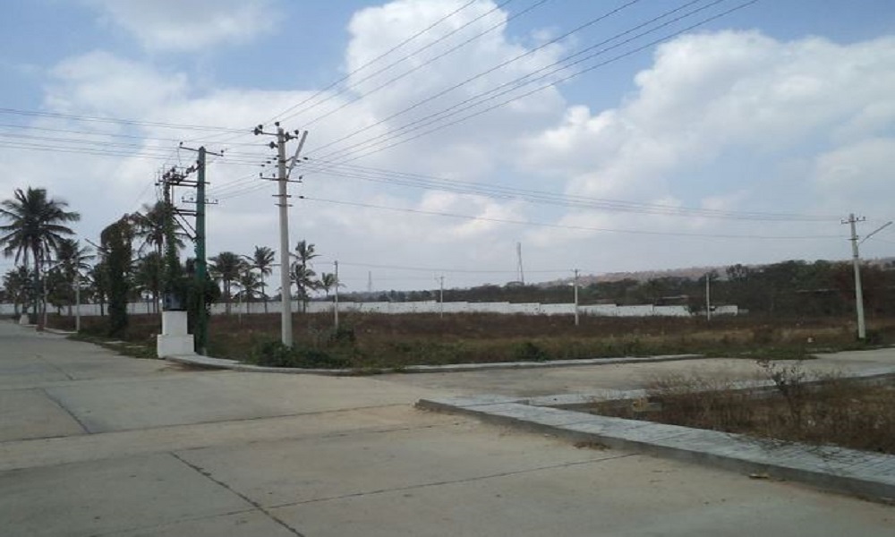 Confident Regulus Floor Plan