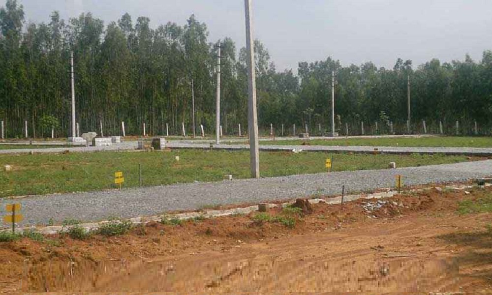 Damden Aalada Mara Floor Plan