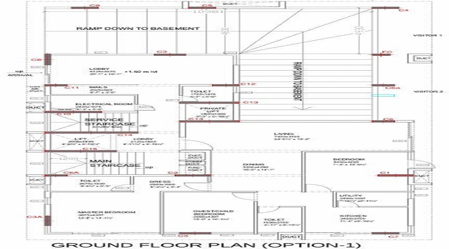 CR The Big Tree Floor Plan
