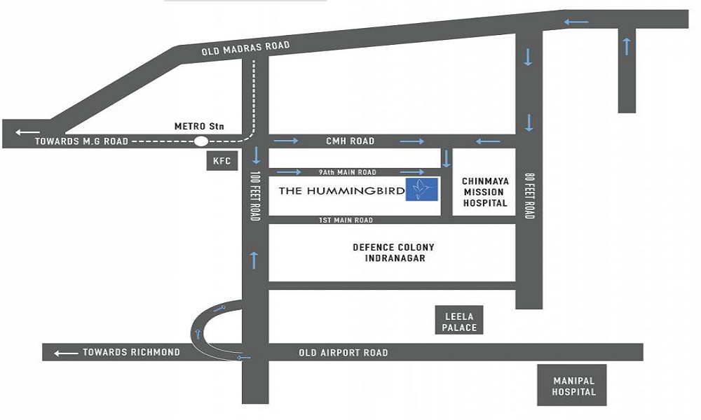 Evantha The Hummingbird