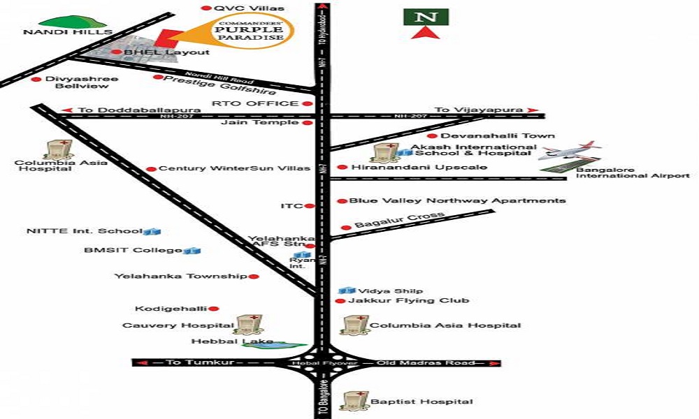 Jupiter Commanders Purple Paradise