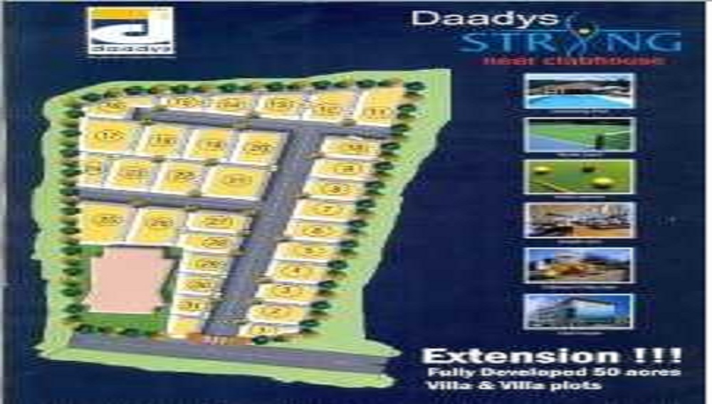 Gallery 3