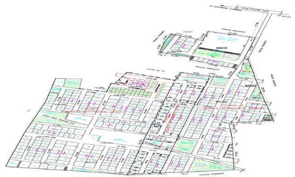 Dhammanagi Tulips Garden