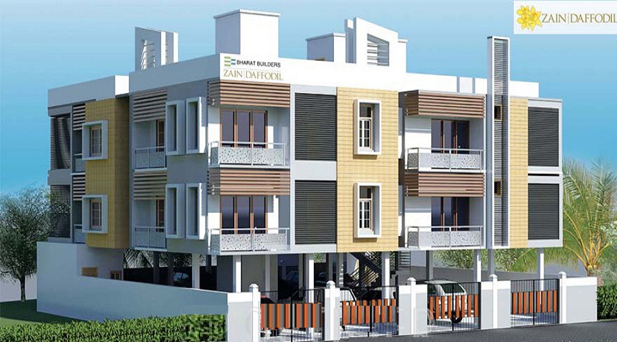 Bharat Zain Daffodil