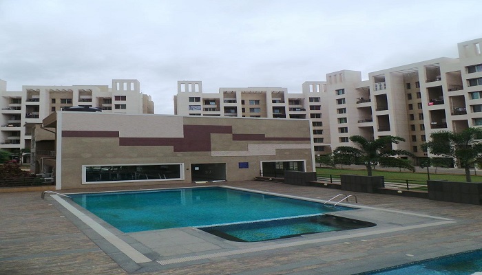 Gallery 5