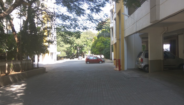 Gallery 5