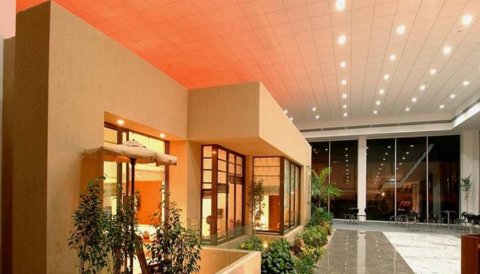 Gallery 5