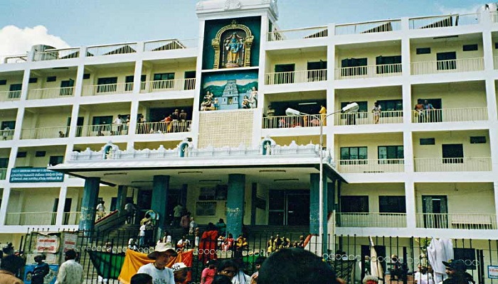 Gallery 5