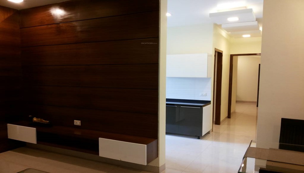 Gallery 4