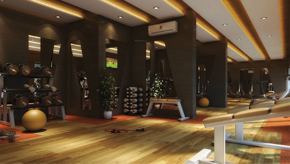 Gallery 4