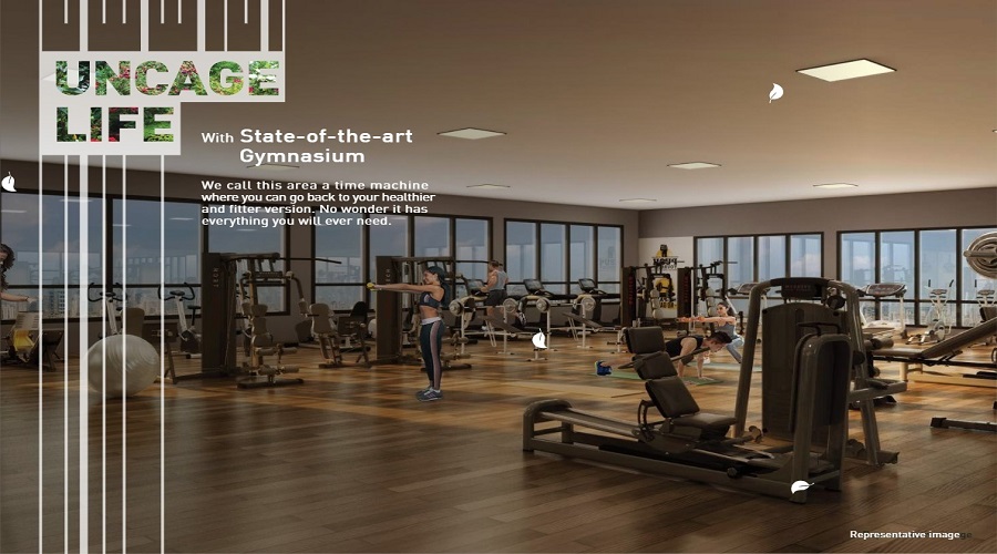 Gallery 5