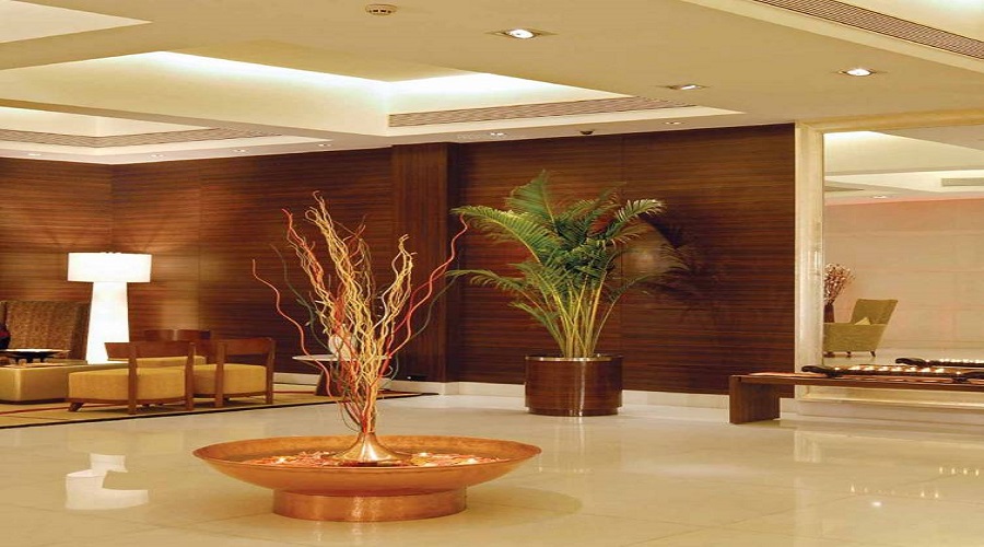 Gallery 3