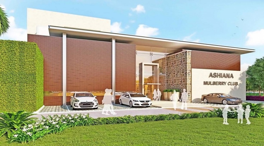 Ashiana White Petals