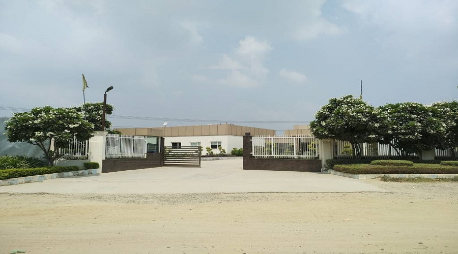 Gallery 5