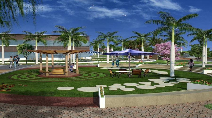 Haamid Aipl Boulevard