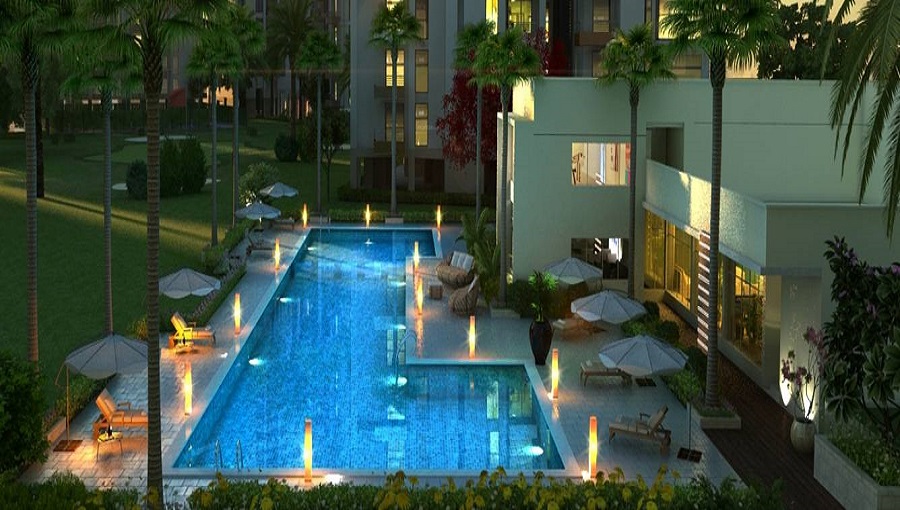 Silverglades Melia First Citizen