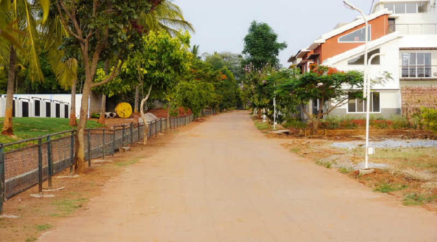 Gallery 5
