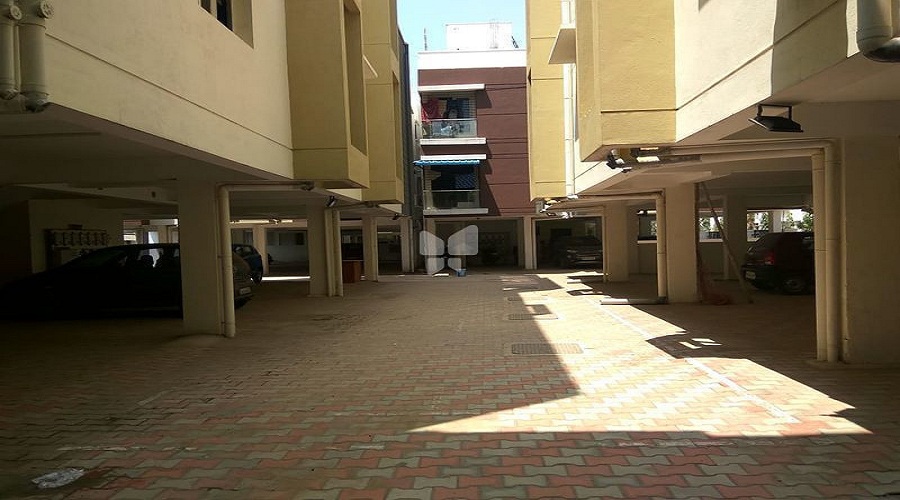 Gallery 5