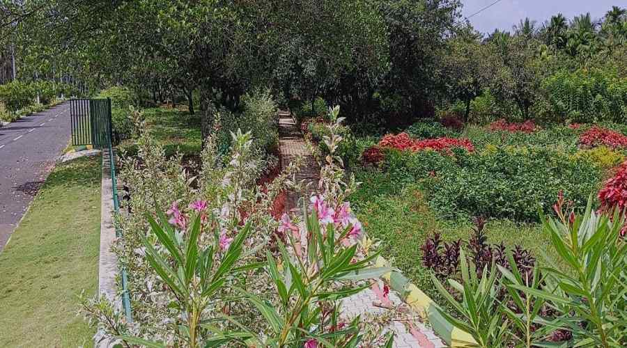 Gallery 4