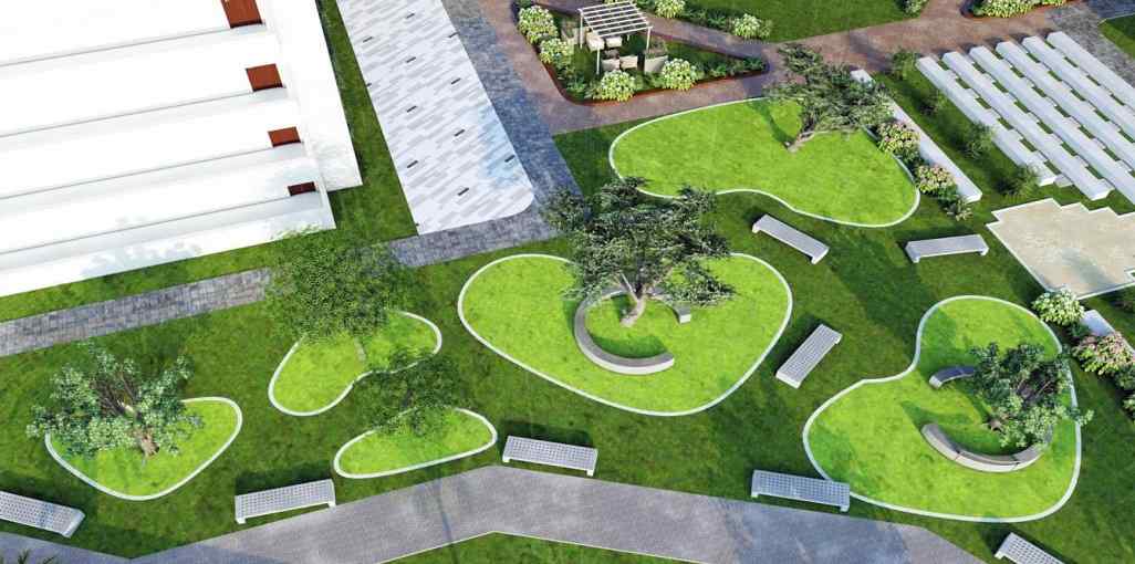 Gruhitha Spring Violet