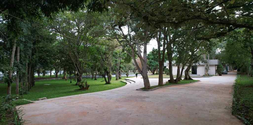 JRC Wild Woods
