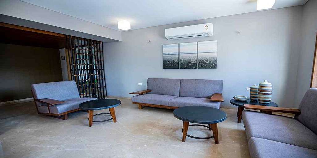 Gallery 5
