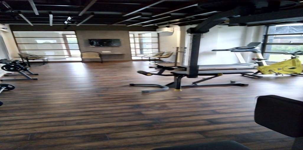Gallery 3