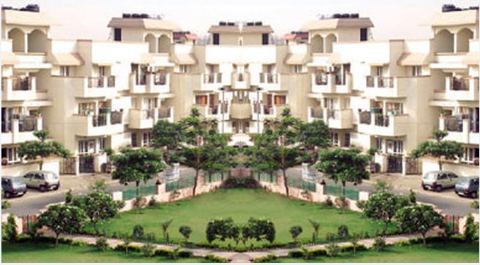 Orchid Mayfield Gardens