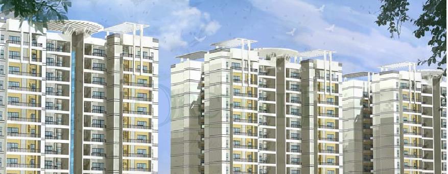 2 BHK - 968 sqft