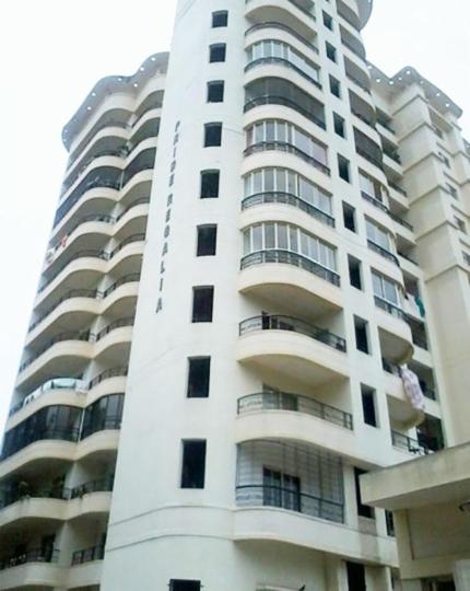 Pride Housing Regalia