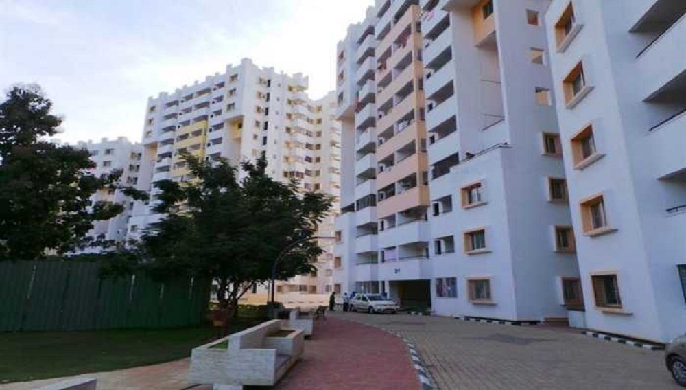 Golden Gate Golden Palms