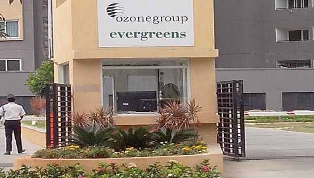 Ozone Group Evergreens