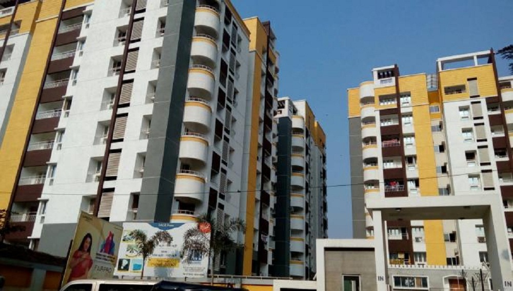 Pace Builders Pace Prana