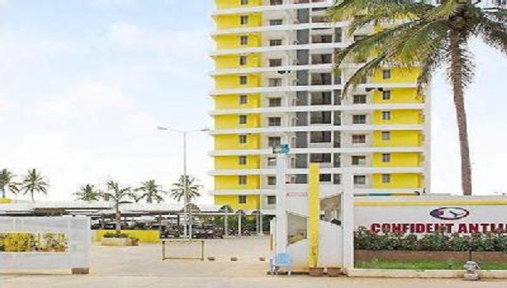 Confident Antlia III