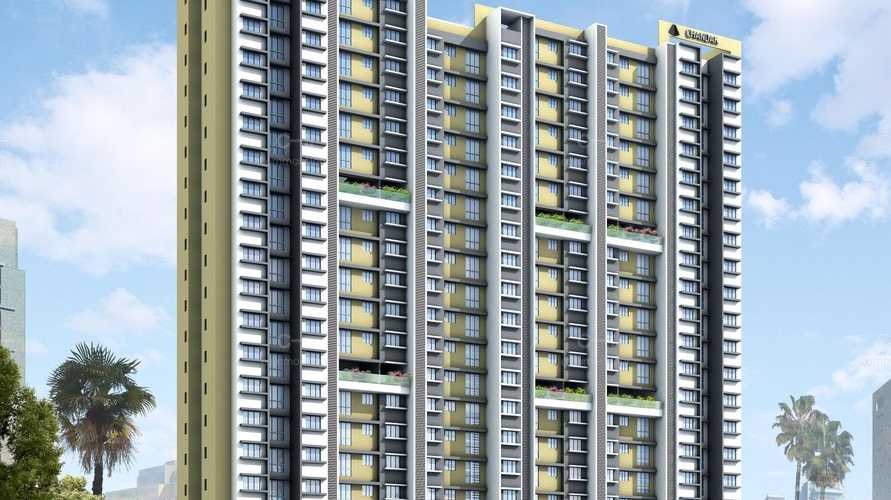 Chandak Sparkling Wings