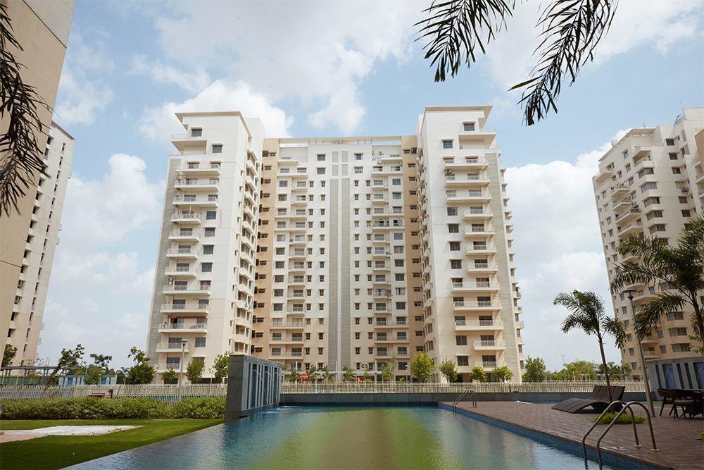 Adani Shantigram Water Lily