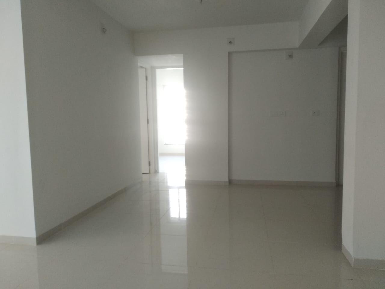 Pacifica Reflections