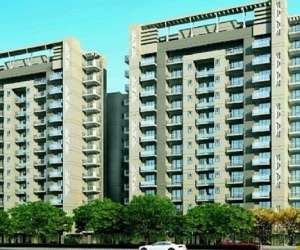 3 BHK  1762 Sqft Apartment for sale in  Satya 99 in Sector 99A