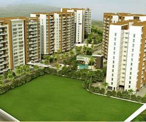 3 BHK  983 Sqft Apartment for sale in  Guardian Hill Shire in Wagholi