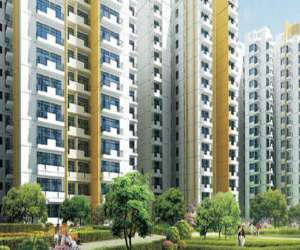 3 BHK  1400 Sqft Apartment for sale in  Aditya GZB Urban Casa in Sector 78